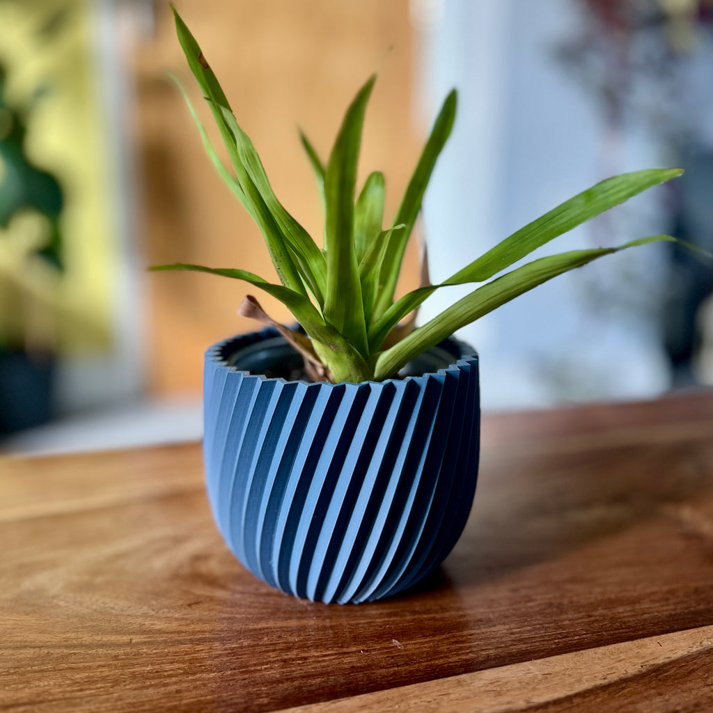 Stylish Contemporary Indoor Flower Pot Planter