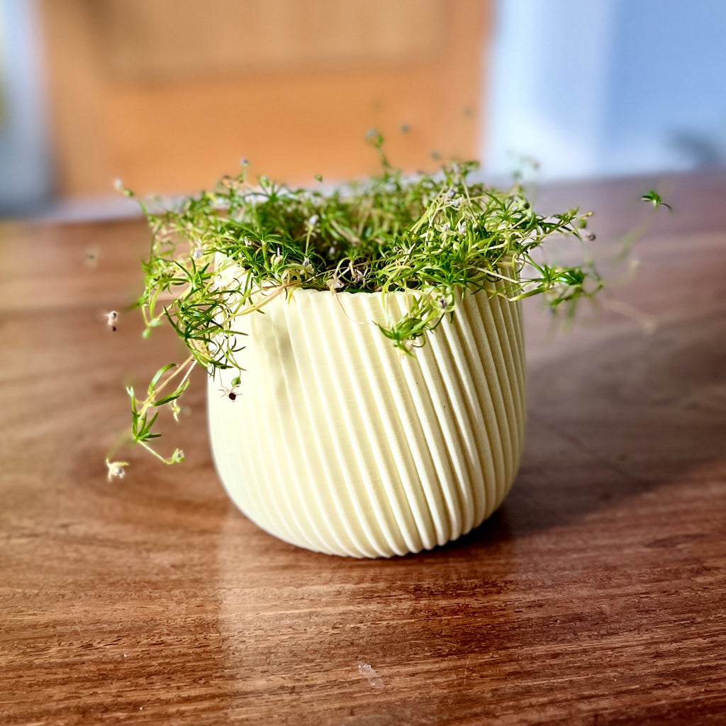 Sleek Modern Indoor Flower Pot Planter